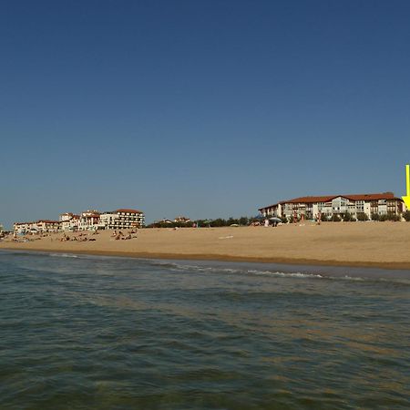 La Dune D'Or - Vue Mer, Studio Face A La Plage Avec Terrasse Soorts-Hossegor Esterno foto